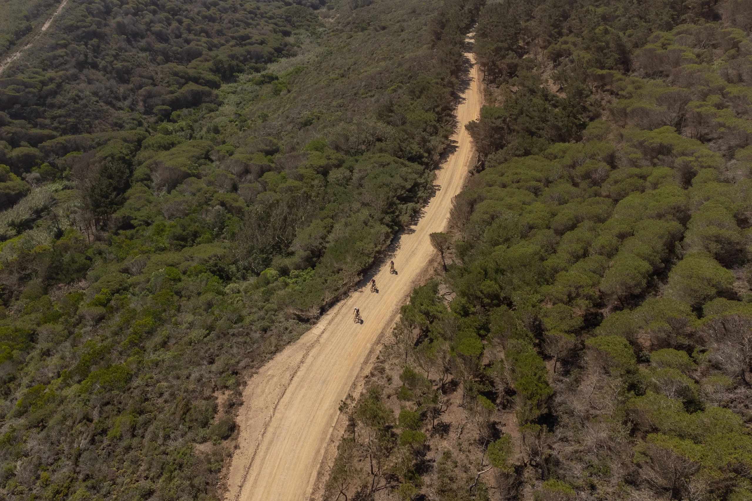 Gravel riders on a forest track inside the natural park, seen from the air