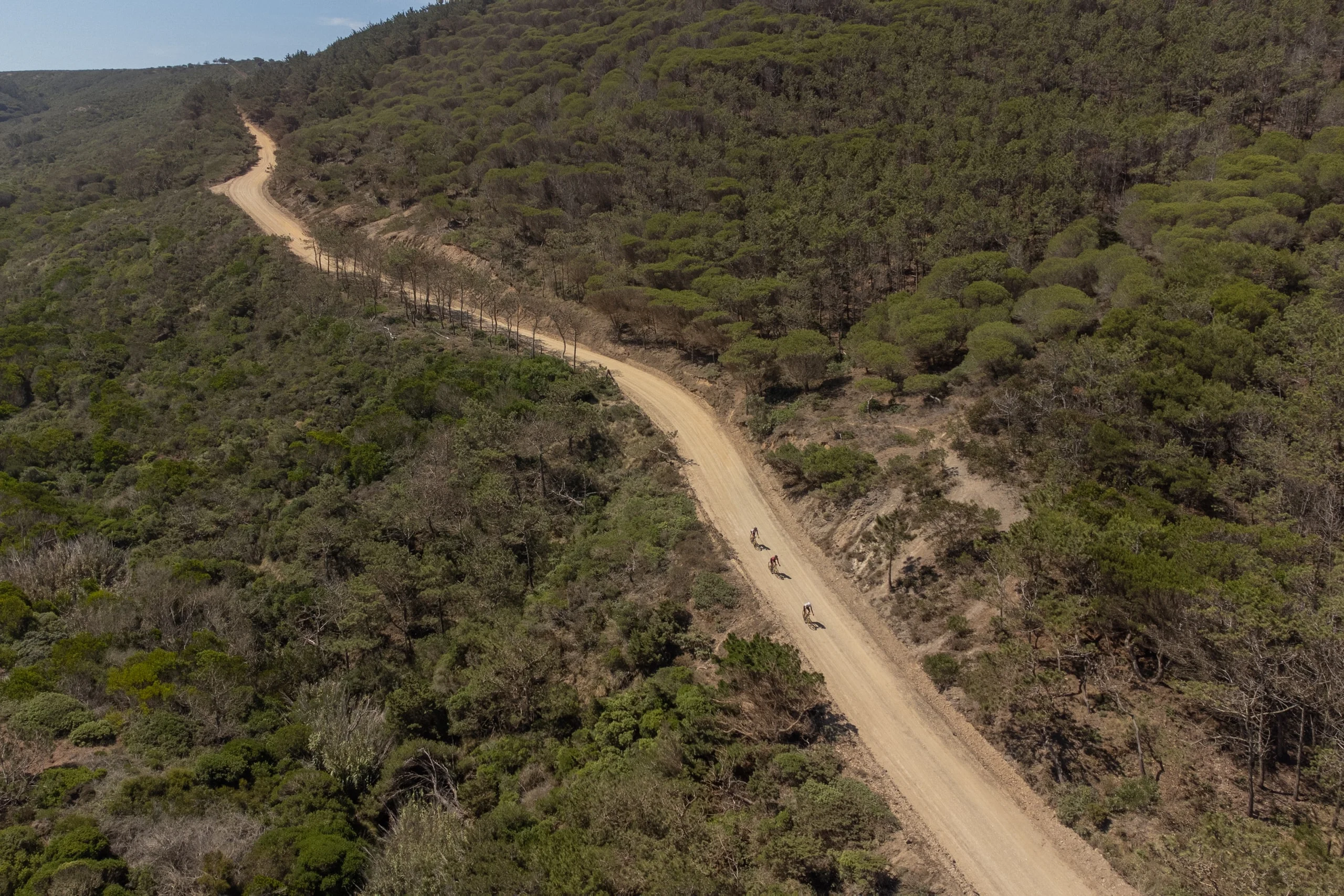 Riders on a gravel track through wooded hills, seen from the air