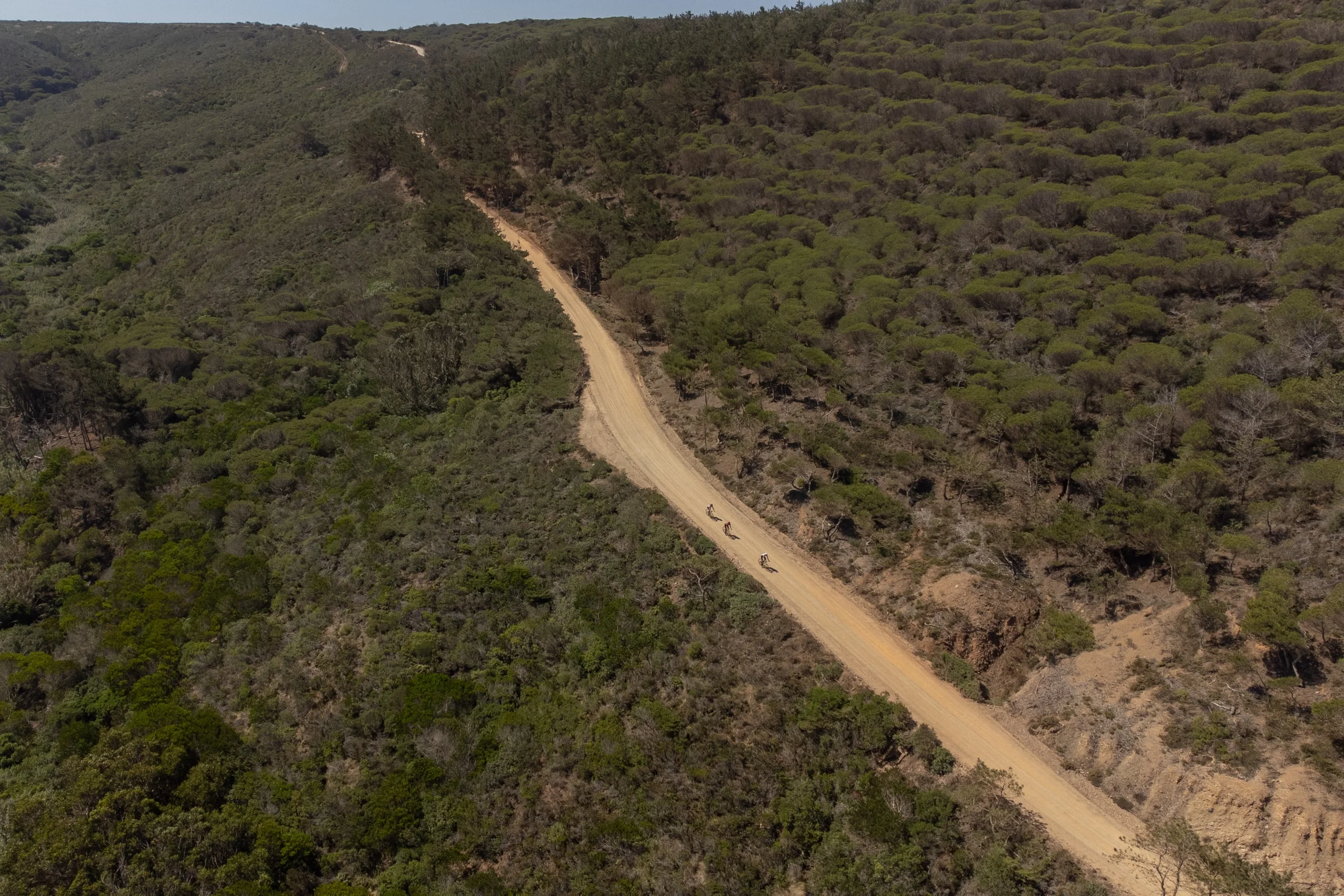 A sandy gravel track through pine and scrub, seen from the air
