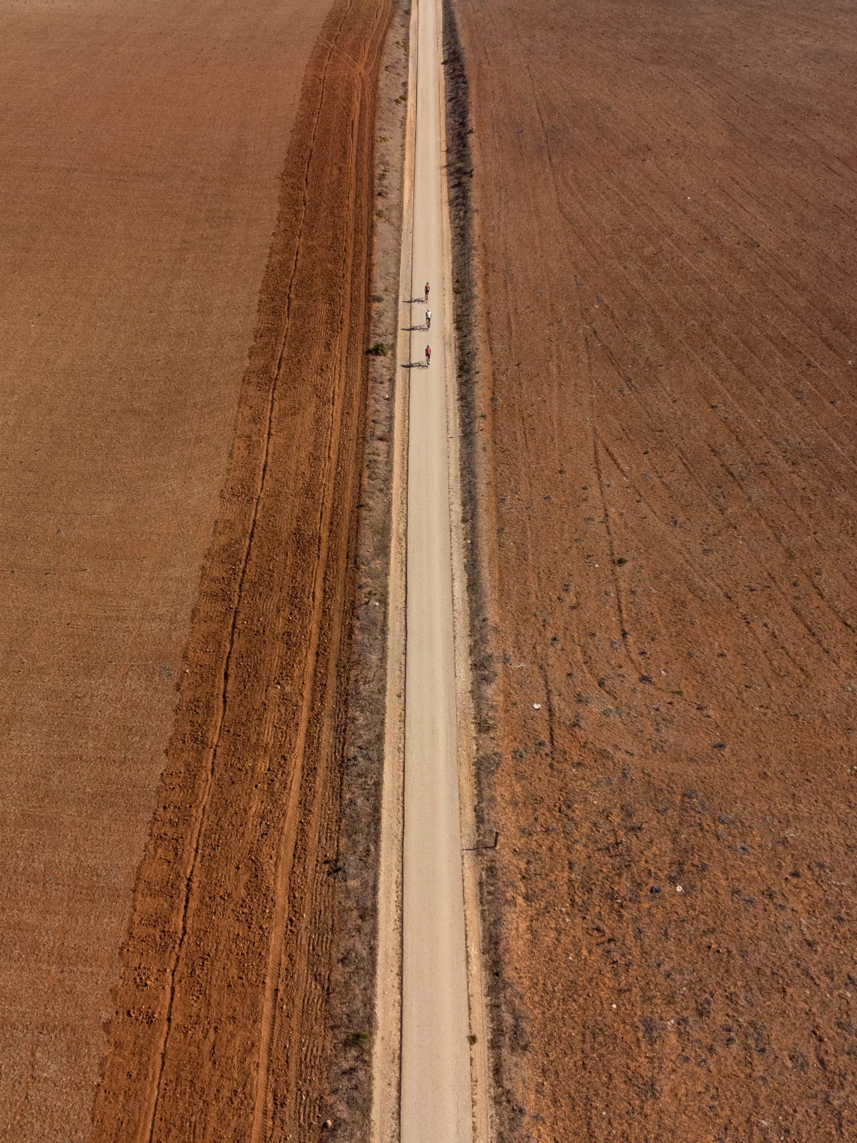 A straight track between dry fields, seen from the air
