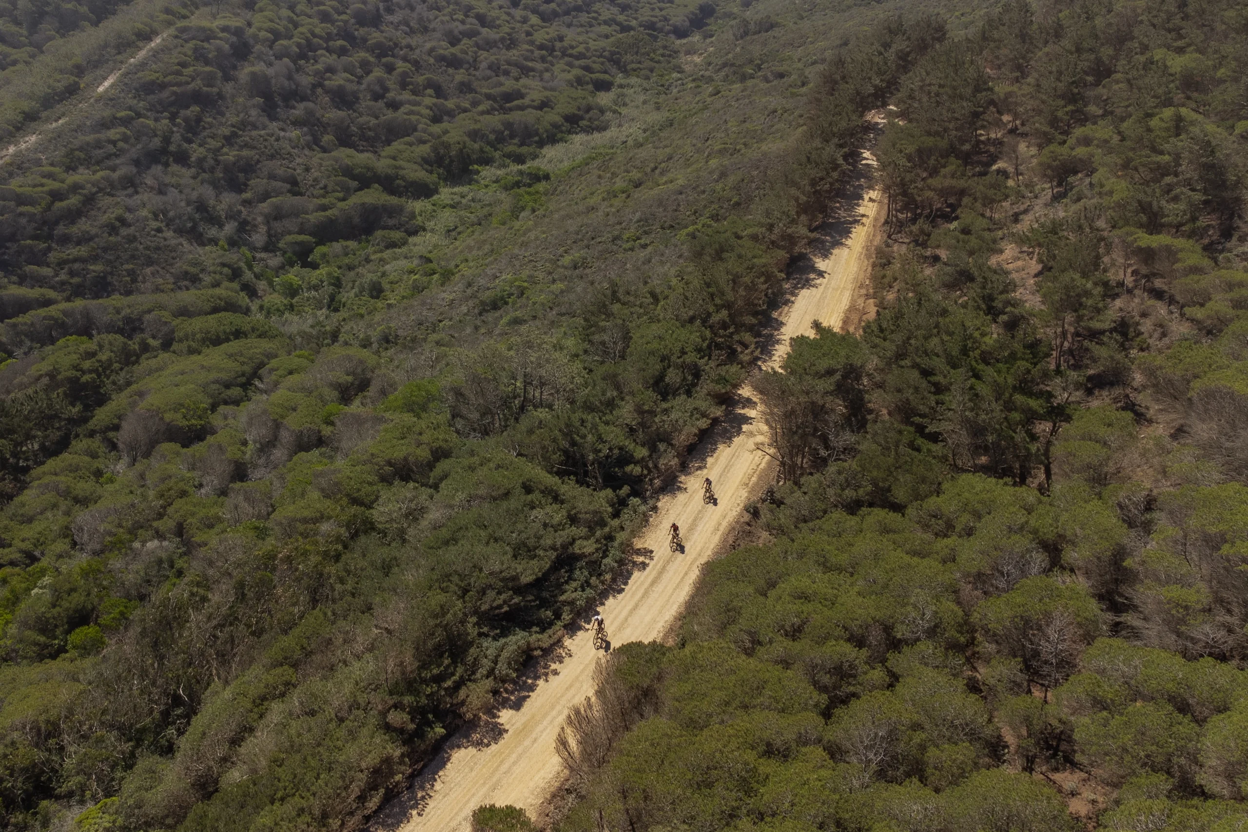 A gravel road winding through a wooded valley in the western Algarve, seen from the air