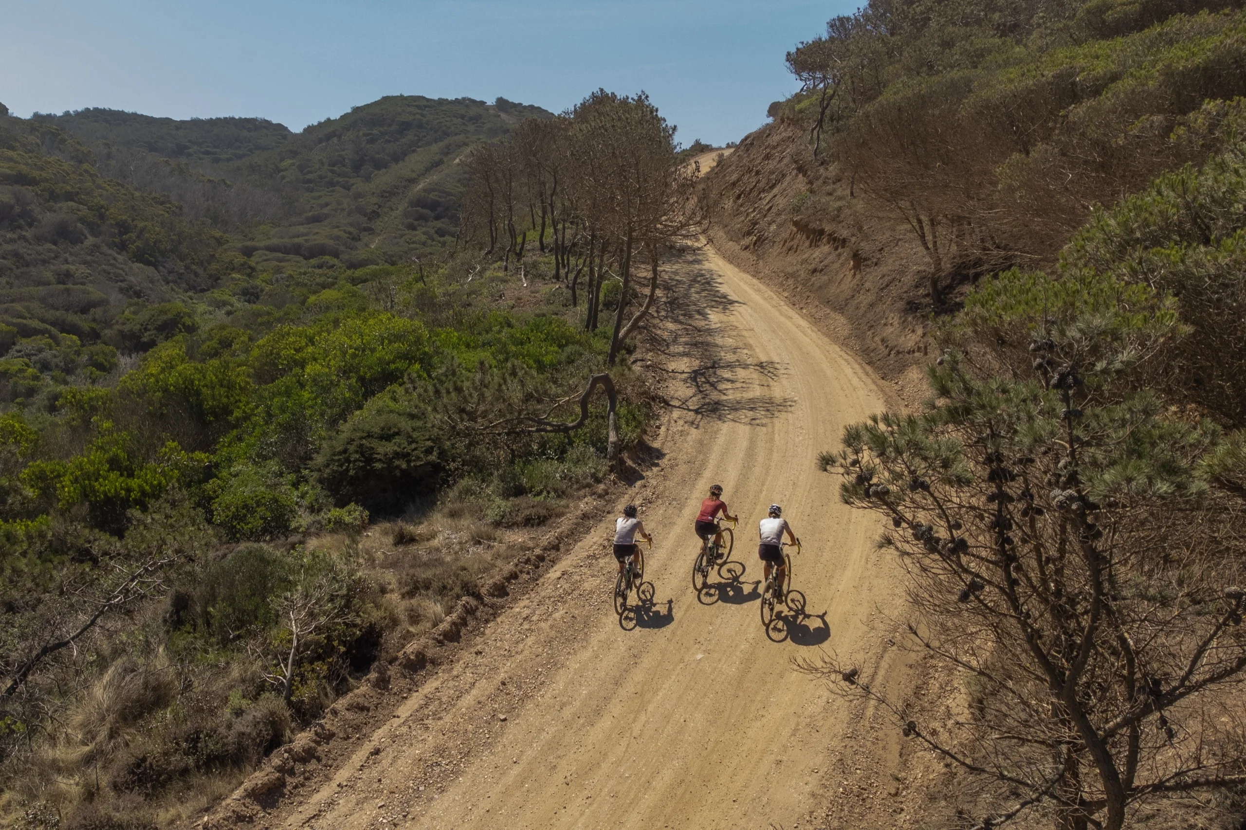 Three gravel riders on a sandy track through the pines, seen from above